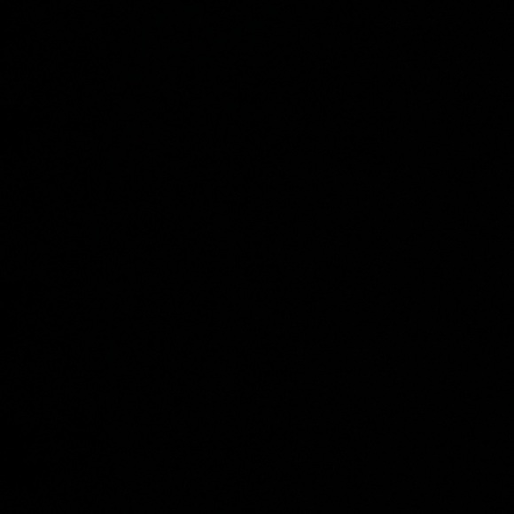 Meet your Posher, Morgan - Picture 1 of 1